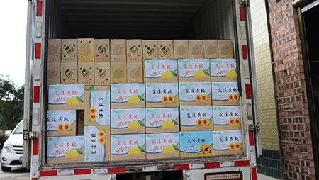 助銷黃桃社會扶貧，關愛員工送高溫福利